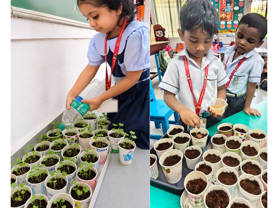 Nature's Little Guardians – Van Mahotsav Celebration at KG